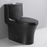 Matt black Ceramic Toilet 1
