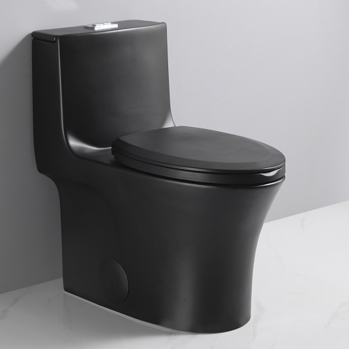 Matt black Ceramic Toilet 1