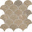 Full Sheet Sample - Golden Age Beige Shell Porcelain Mosaic - 12" x 12" x 9 MM Matte