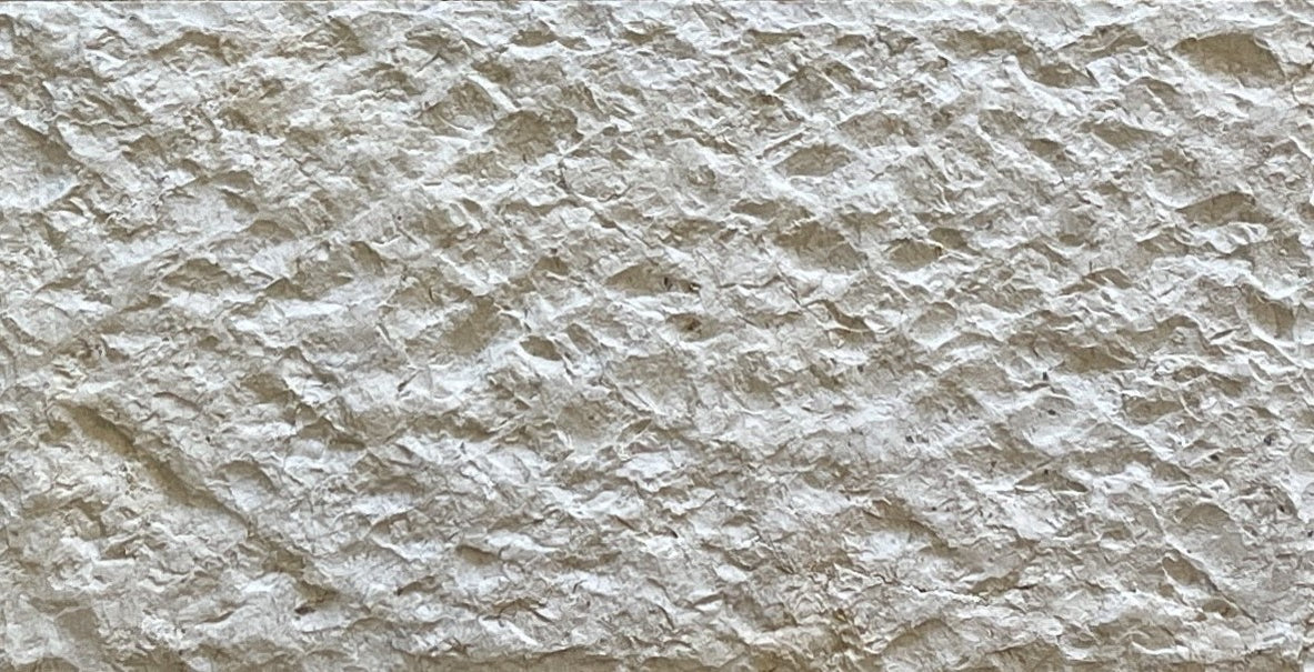 Shellstone tile and shellstone pavers for a shellstone pool deck ...