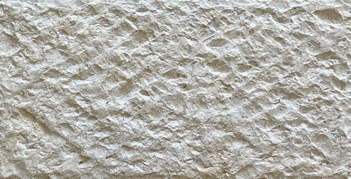 Full Tile Sample - Golden Shellstone Tile - 12" x 24" x 3/8" Split Face