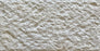 Full Tile Sample - Golden Shellstone Tile - 12" x 24" x 3/8" Split Face