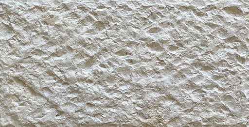 Shellstone tile and shellstone pavers for a shellstone pool deck ...