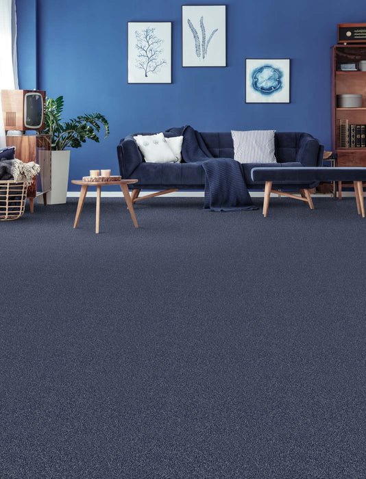 Goosehill Nantucket 2475 Carpet Textured 2