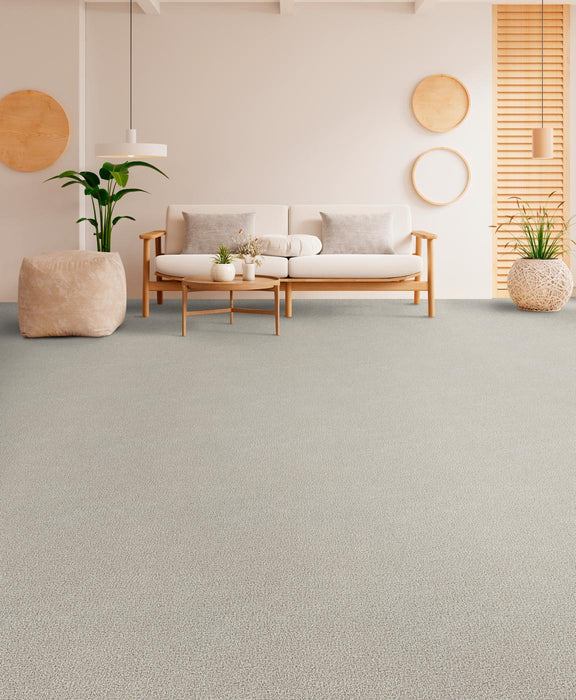 Goosehill Light Bisque 4484 Carpet Textured 2