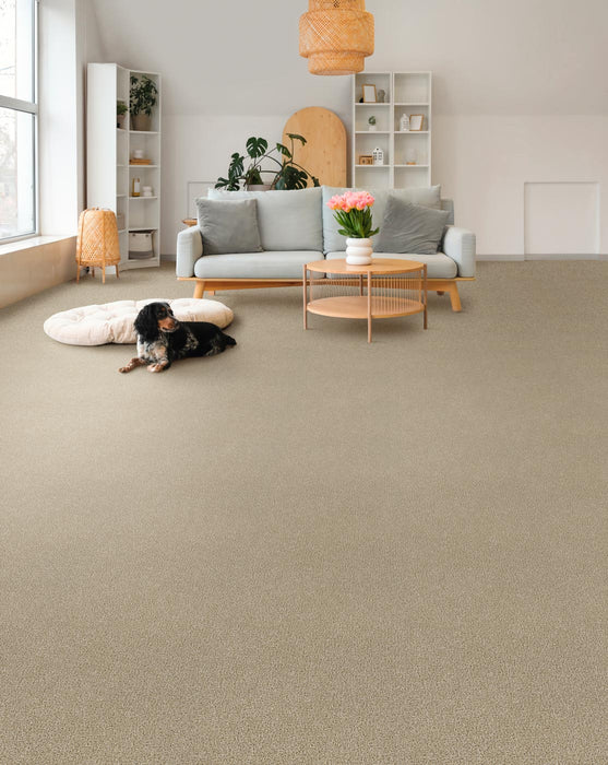 Goosehill Cashmere 580 Carpet Textured 2