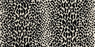 Gotham Cheetah Polypropylene Onyx 13231 Carpet Textured 1