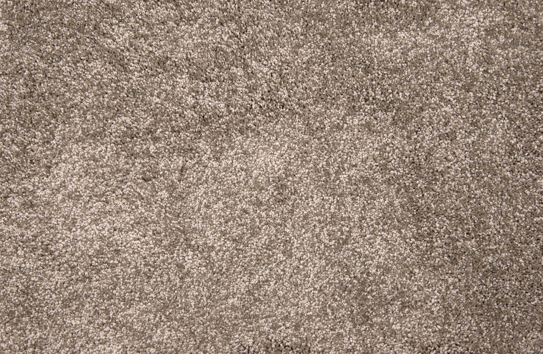 Grail Polyester Mocha 23116 Carpet Textured 1