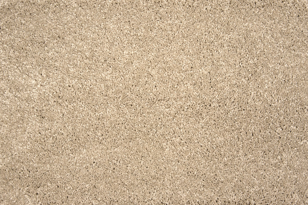 Grail Polyester Sandcastle 23114 Carpet Textured 1