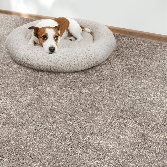 Grail Polyester Sterling 23115 Carpet Textured 2