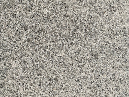 Full Tile Sample - Green Tea Granite Tile - 12" x 24" Polished