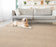 Gwen Polyester Putty 13254 Carpet Textured 2