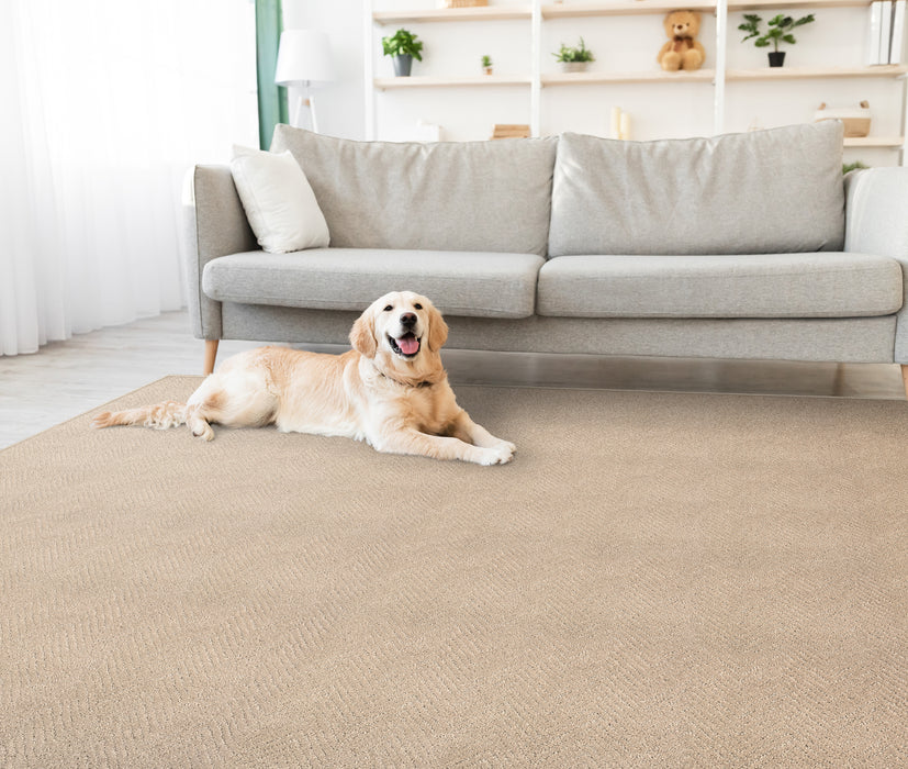 Gwen Polyester Putty 13254 Carpet Textured 2