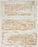 Harmony Polyester Ivory Gold IVGLD