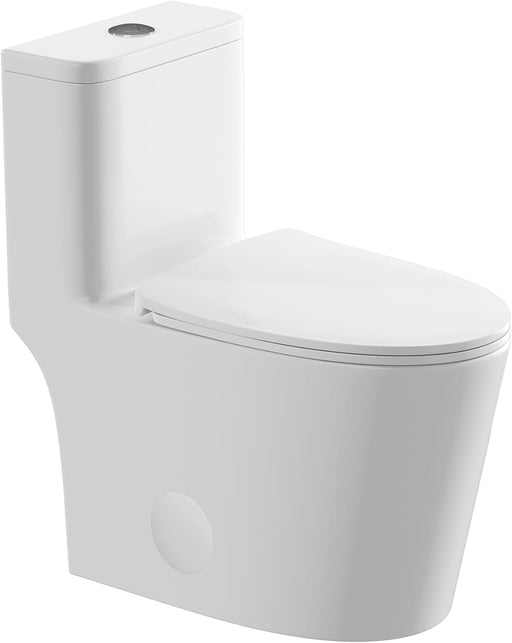 White Ceramic Toilet