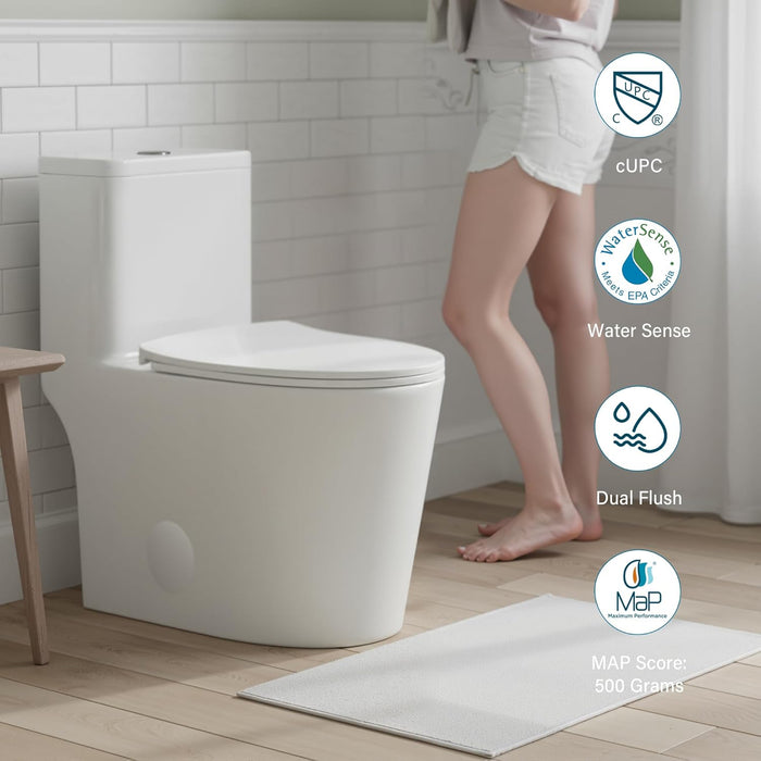 White Ceramic Toilet