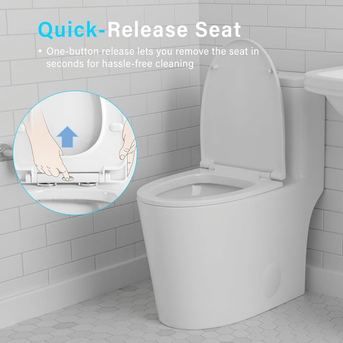 White Ceramic Toilet
