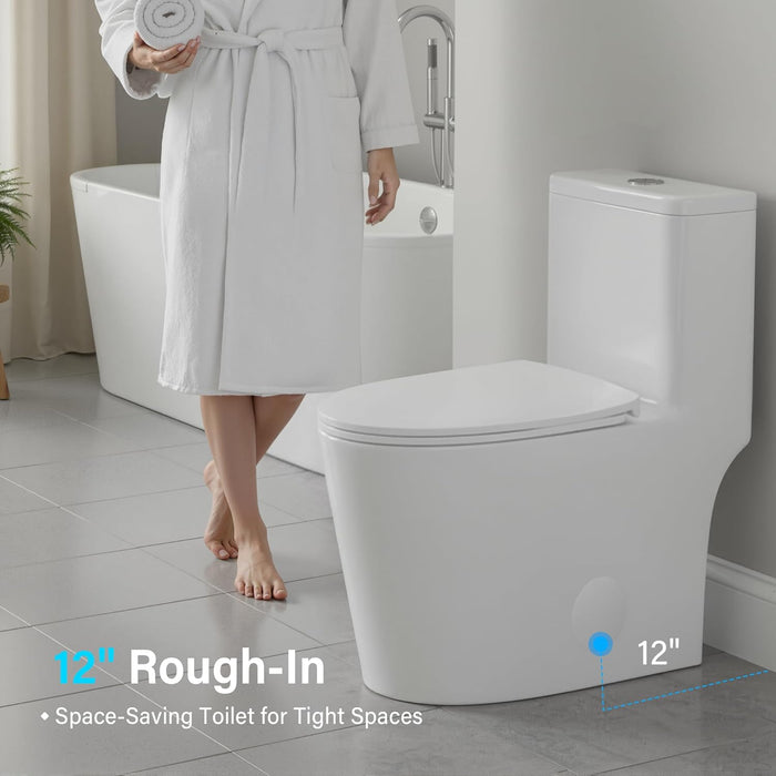 White Ceramic Toilet