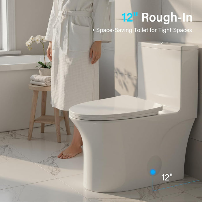 White Ceramic Toilet