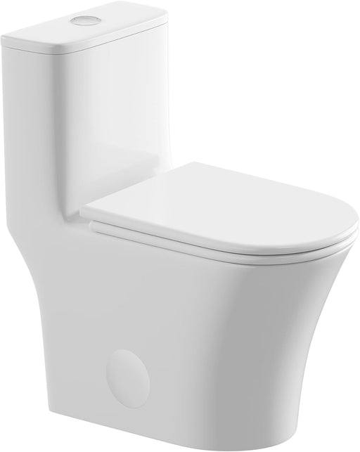 White Ceramic Toilet