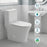White Ceramic Toilet