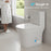 White Ceramic Toilet