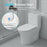 White Ceramic Toilet