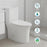 White Ceramic Toilet