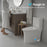 White Ceramic Toilet