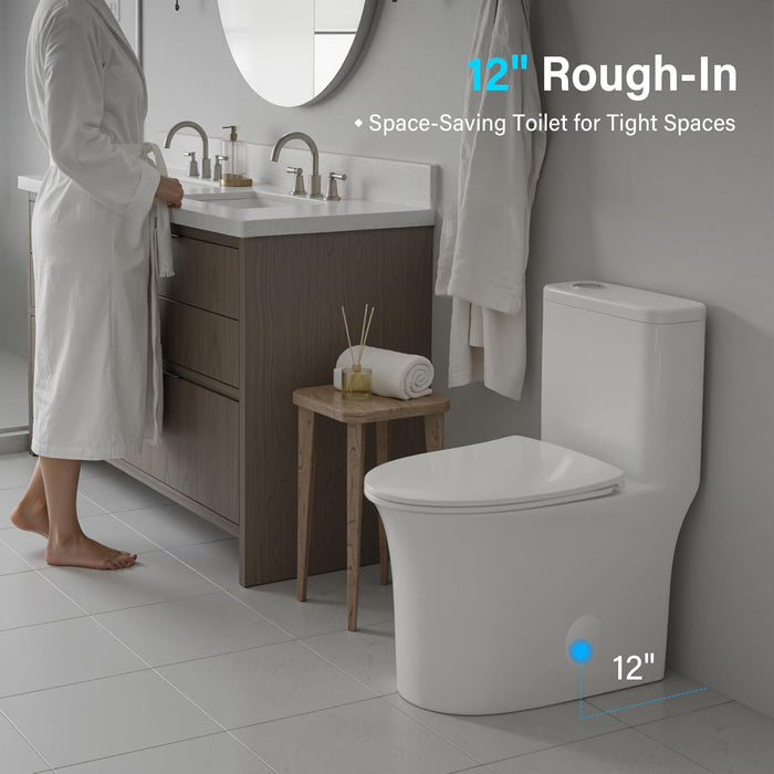 White Ceramic Toilet
