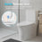 White Ceramic Toilet