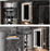 Clear Aluminum Medicine Cabinet