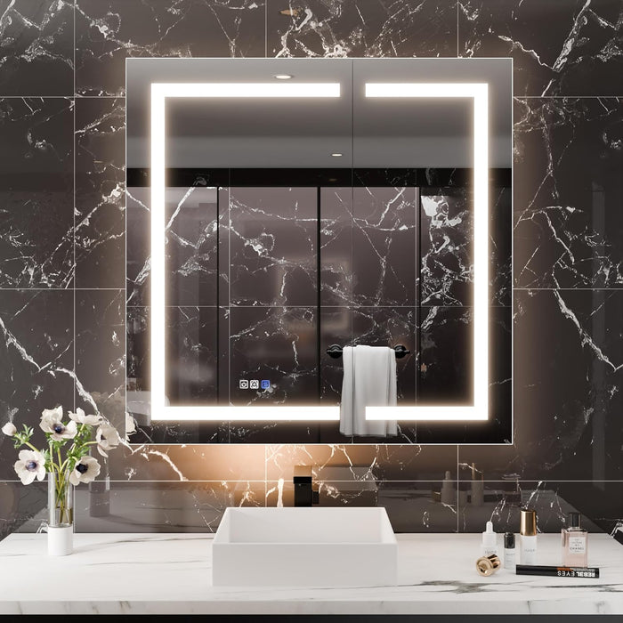 Clear Aluminum Medicine Cabinet