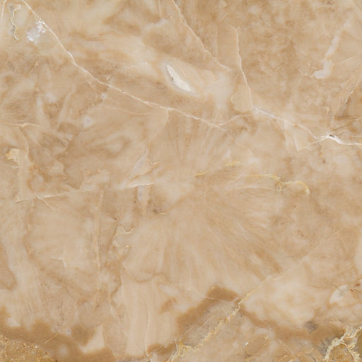 Full Tile Sample - Breccia Oniciata Marble Tile - 18" x 18" x 3/8" Polished