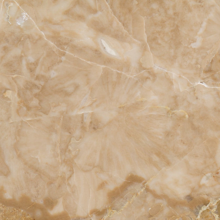 Full Tile Sample - Breccia Oniciata Marble Tile - 16" x 16" x 3/8" Polished