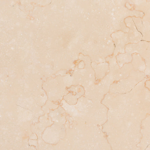 Full Tile Sample - Mediterranean Ivory Limestone Tile - 24" x 24" x 1/2" Honed