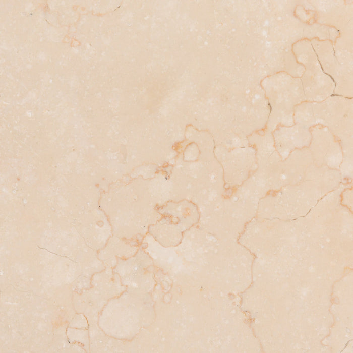 Full Tile Sample - Mediterranean Ivory Limestone Tile - 24" x 24" x 1/2" Honed