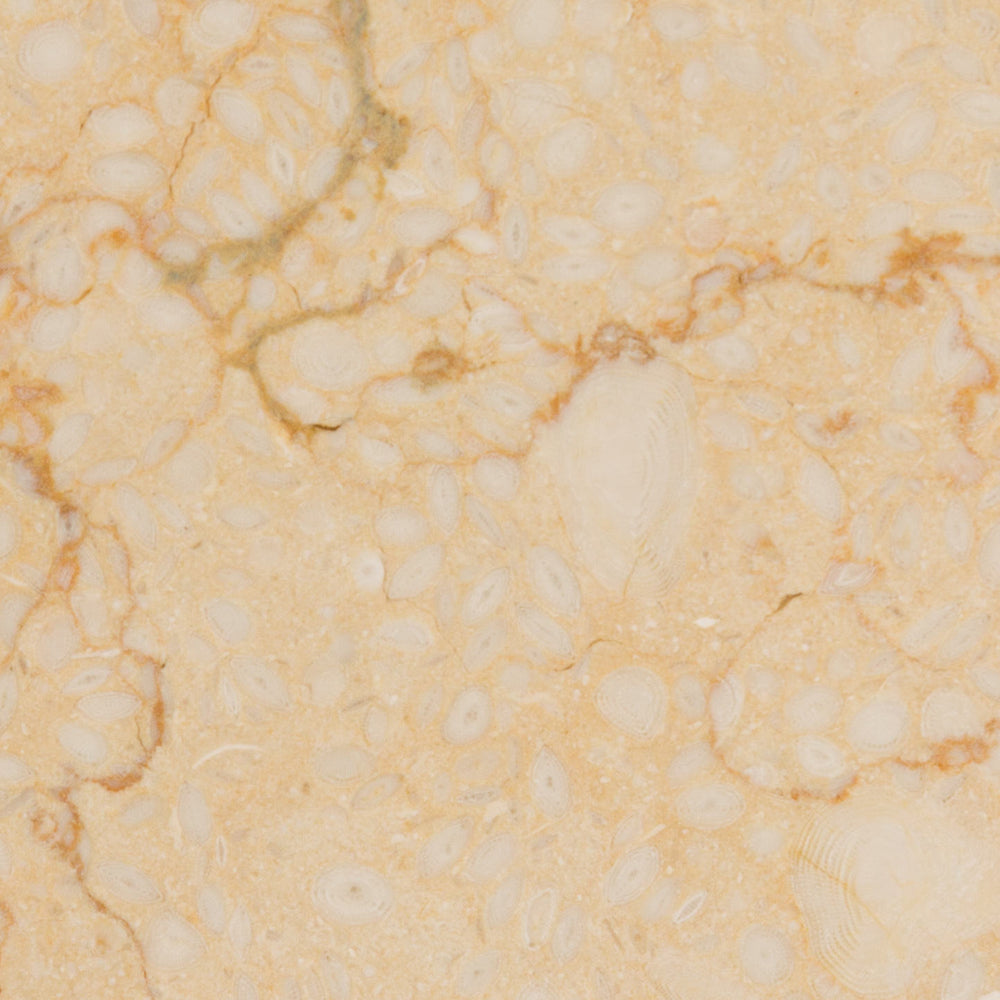 Mediterranean Desert Limestone Tile Polished 1