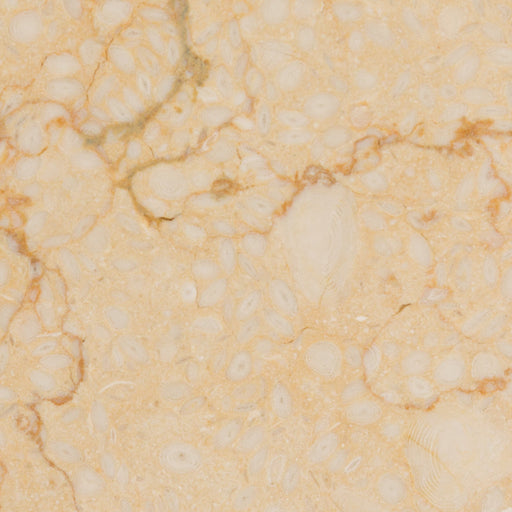 Mediterranean Desert Limestone Tile Polished 1