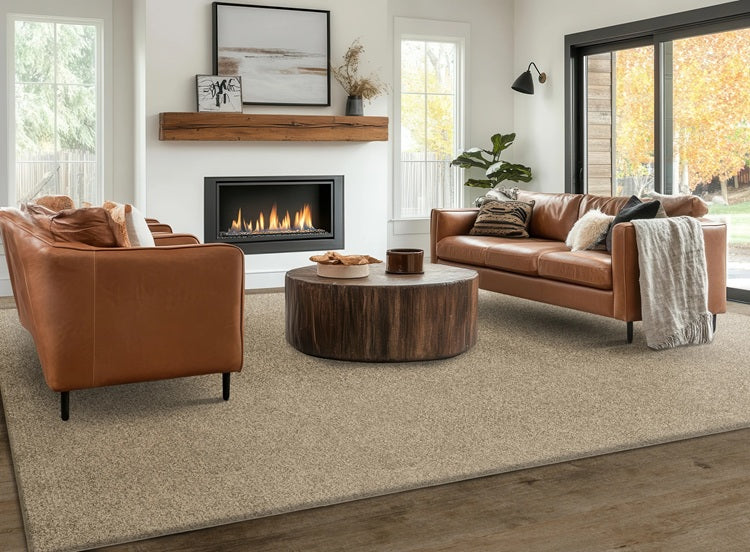 Hampshire Solution Dyed Polyes Putty 60251 Carpet HMSHR Plush 2
