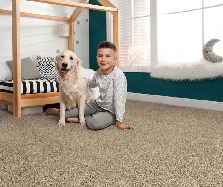 Hampshire Solution Dyed Polyes Putty 60251 Carpet HMSHR Plush 3
