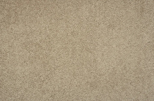 Hampshire Solution Dyed Polyes Putty 60251 Carpet HMSHR Plush 1