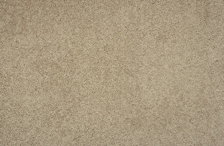 Hampshire Solution Dyed Polyes Putty 60251 Carpet HMSHR Plush 1