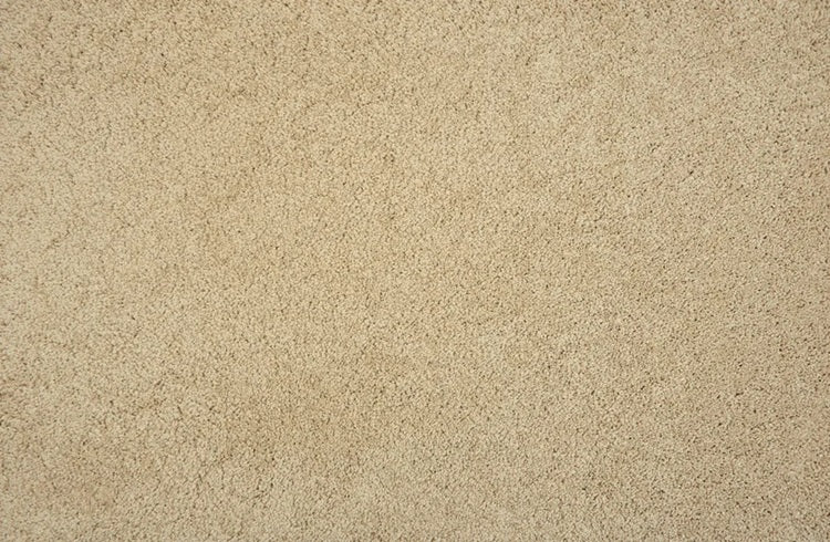 Hampshire Solution Dyed Polyes Sand 60254 Carpet HMSHR Plush 1