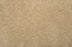 Hampshire Solution Dyed Polyes Tan 60256 Carpet HMSHR Plush 1