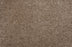 Henry Solution Dyed Polyes Latte 82457 Carpet HENRY Plush 1