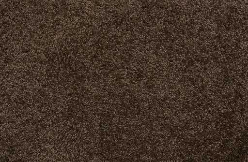 Henry Solution Dyed Polyes Mocha 82458 Carpet HENRY Plush 1