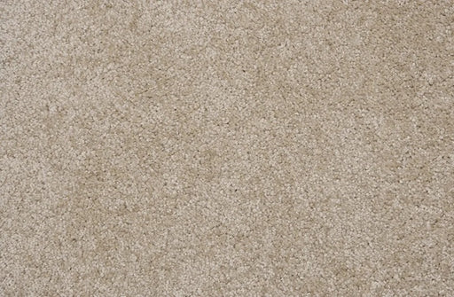 Henry Solution Dyed Polyes Shell 82455 Carpet HENRY Plush 1