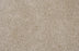 Henry Solution Dyed Polyes Shell 82455 Carpet HENRY Plush 1