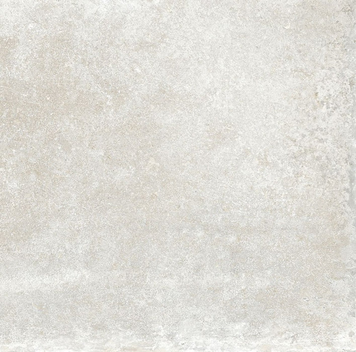 Full Tile Sample - Heritage (Ricchetti) Blanc Porcelain Tile - 20" x 40" x 3/8" Matte
